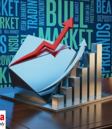 Share India Securities