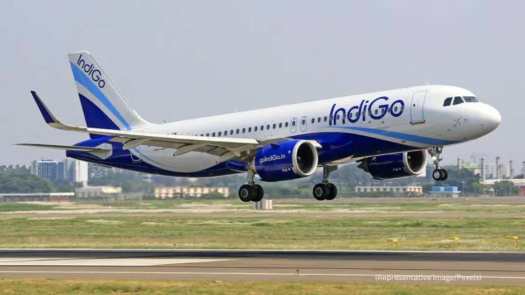 indigo