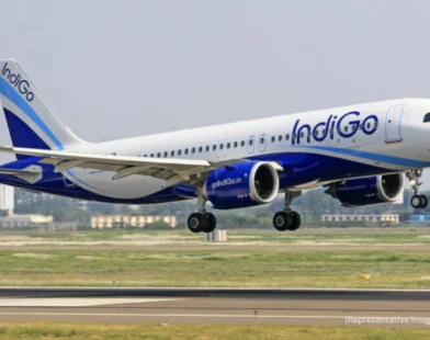 indigo