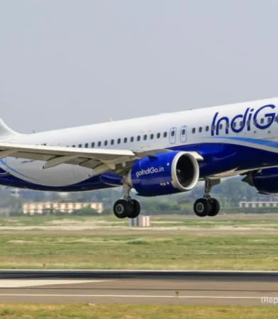 indigo