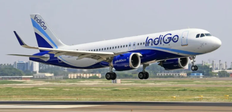 indigo