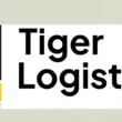 Tiger Logistics Q4 results
