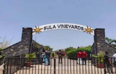 Sula Vineyards
