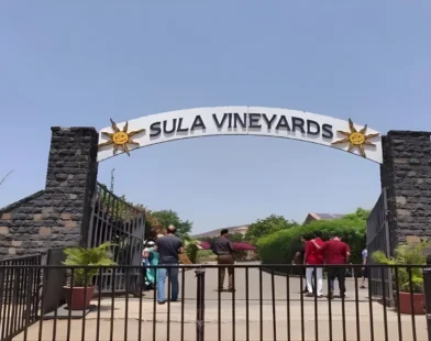 Sula Vineyards