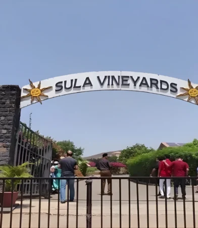 Sula Vineyards