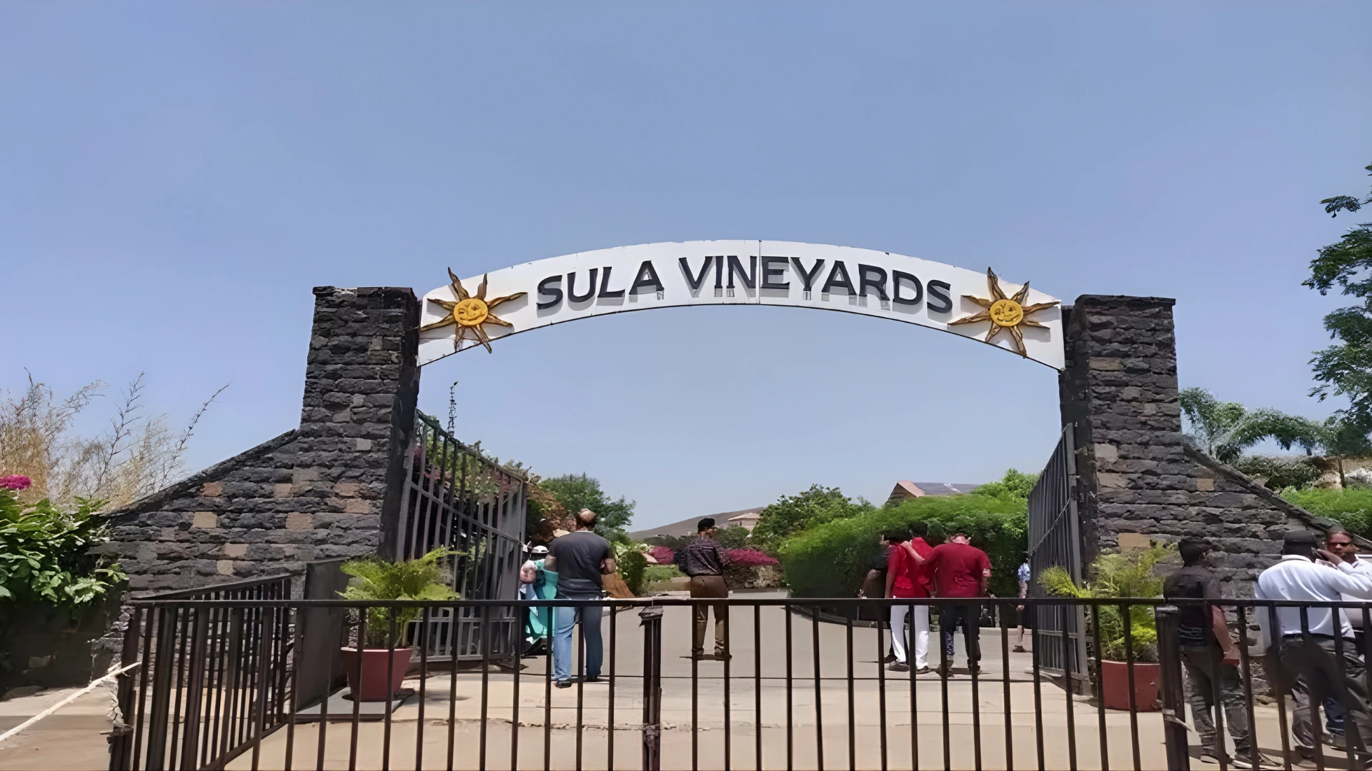 Sula Vineyards
