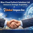 Blue Cloud Softech