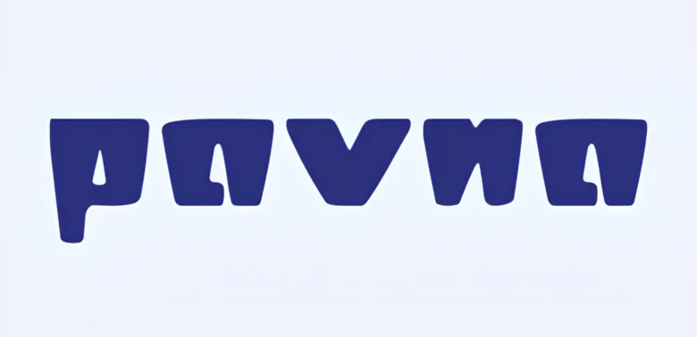 Pavna Industries Q4 results