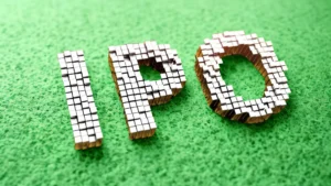 Turtlemint Fintech Solutions IPO