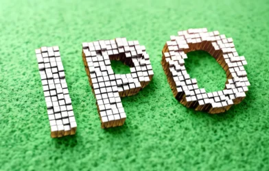 Turtlemint Fintech Solutions IPO