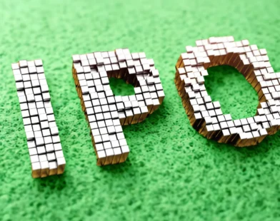 Turtlemint Fintech Solutions IPO