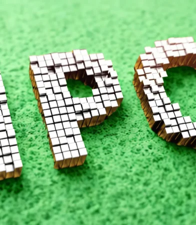 Turtlemint Fintech Solutions IPO