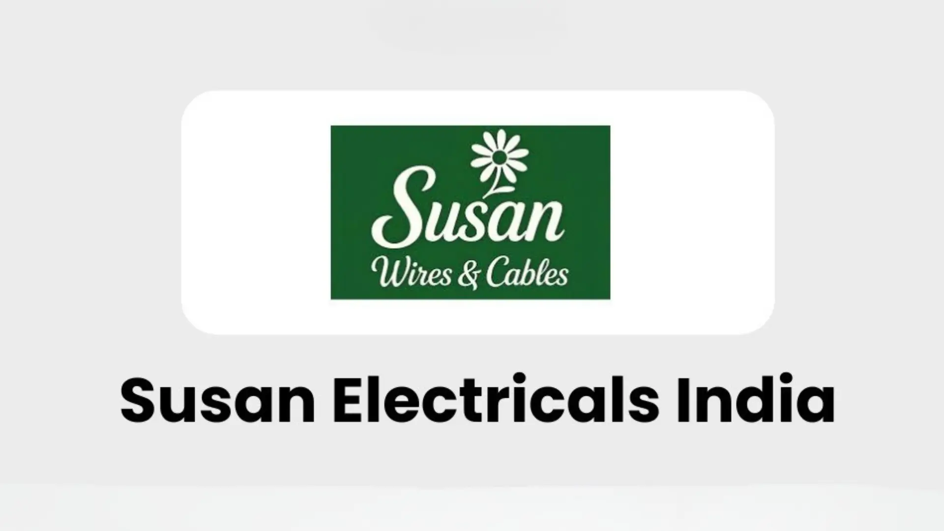 Susan Electricals India IPO