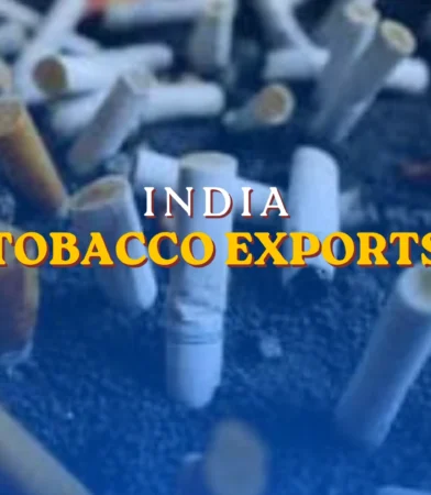 India tobacco exports