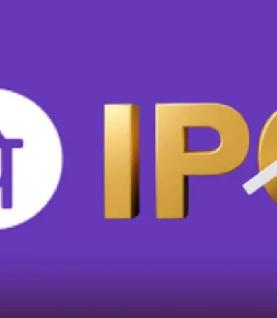 PhonePe IPO Set to Be One of India's Biggest Fintech Listings
