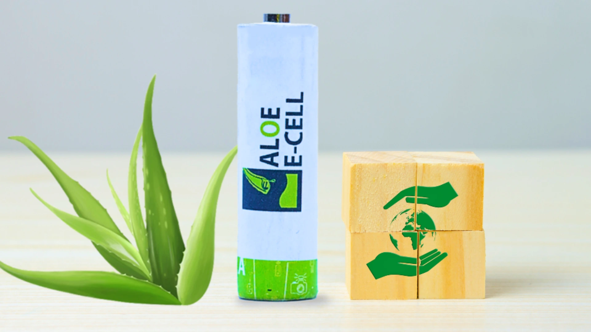 Aloe E-cell: Business Model for Turning Aloe Vera far more than a Beautifier