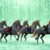 Indian Unicorns