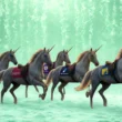Indian Unicorns
