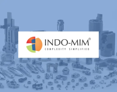 Indo-MIM ipo