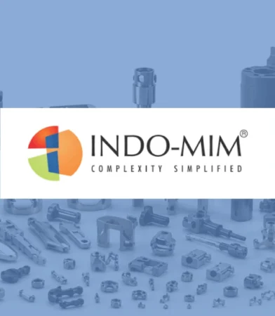 Indo-MIM ipo