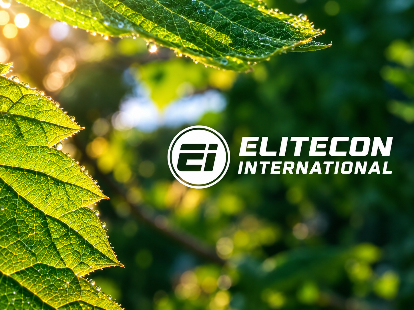 Elitecon