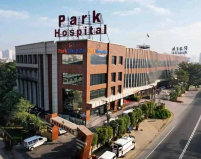 Park Medi World