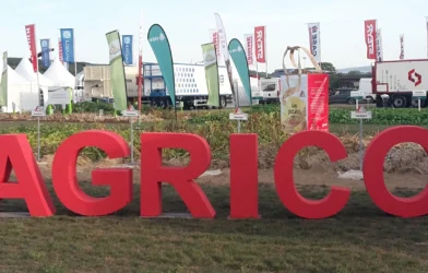 sustainable potato sectors