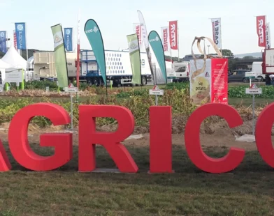 sustainable potato sectors