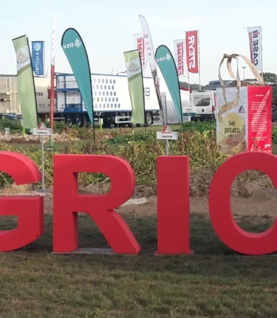sustainable potato sectors
