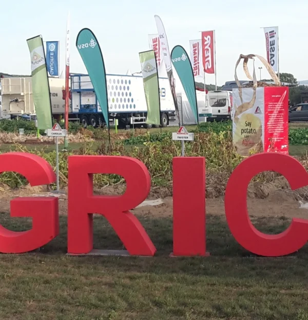 sustainable potato sectors