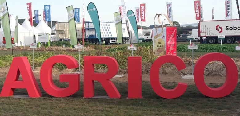 sustainable potato sectors