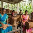 India's coir sector